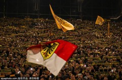 暴风雪下的德甲：汉堡与勒沃库森比赛推迟及其影响