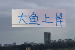 北京国安也是外援大结局了！来了德甲中卫，还有澳超冠军边锋