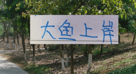 去年中超前5大鱼都上岸 北京国安是德甲大货 海港是本土标王